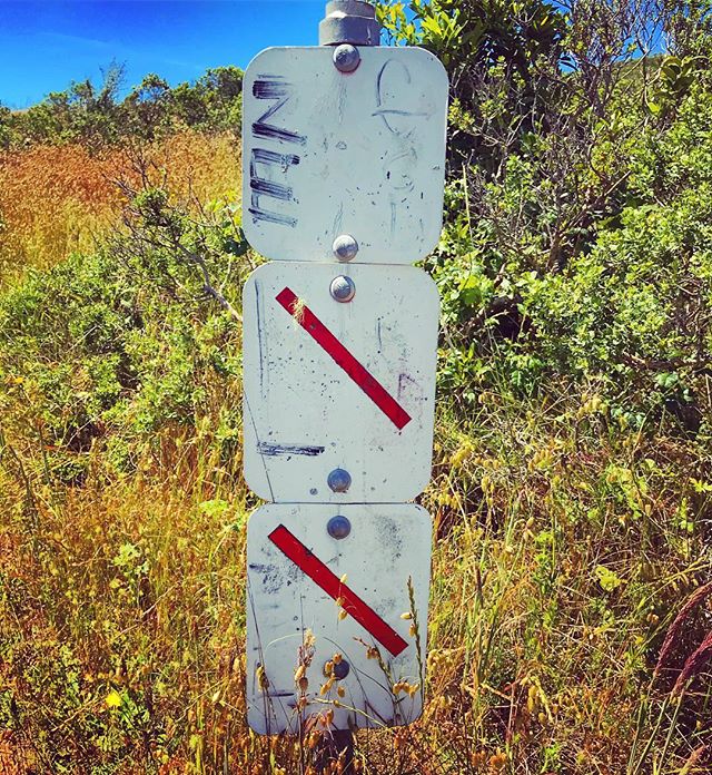 Fill in your own artistic interpretation of what “is” or ”is not allowed” on this trail. Out and about soaking up some of the creative energy in the Marin Headlands Happy Sunday y’all . . .