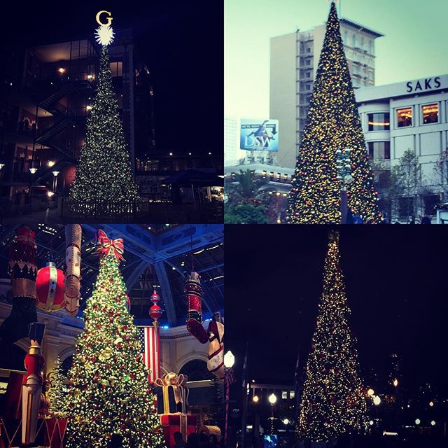 Huge Christmas trees sprouting all over the city and Vegas too. From top left Ghirardelli square, Union Square, Bellagio and Pier 39 all getting into the spirit of the season.