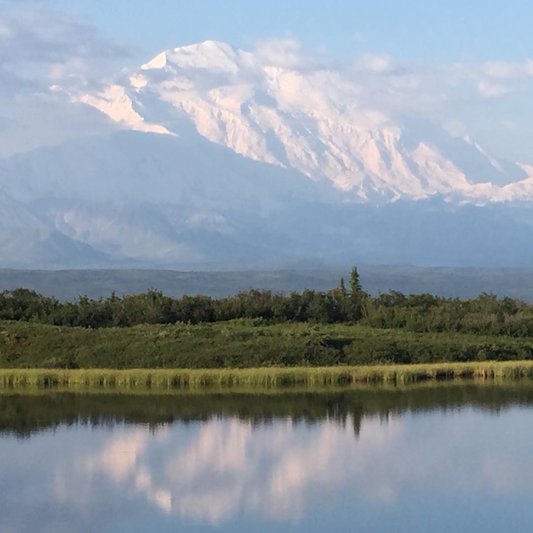 The mountain and the Alaska range make an amazing appearance after days under cloud cover. Thanks to the crew at Camp Denali for leading our exploration of the park.